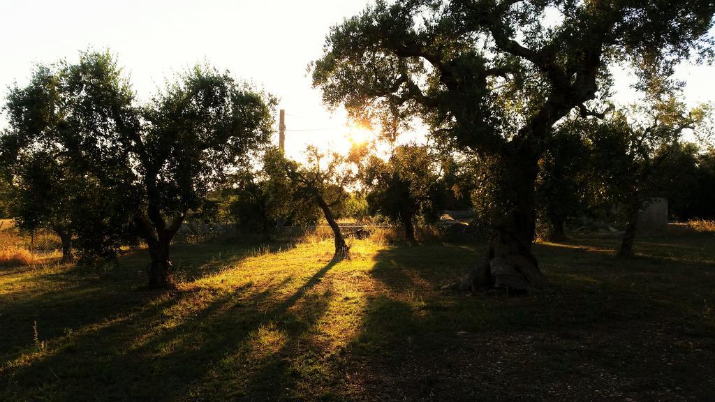 Antica Masseria Scagnito Villa Corigliano dʼOtranto Dış mekan fotoğraf